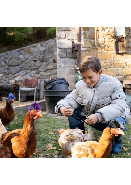 Tavuklar Için 6 Adet Tavuk Şapkaları Tavuklar Için Tavuk Giysileri Kostümleri Tavuklar Için Şapkalar Küçük Şapkalar Küçük Hayvan Şapkaları (Yurt Dışından) fırsatları