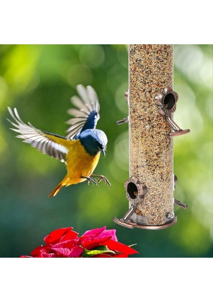 Yabani Kuş Asma Besleyici Tübüler Anti-Koşu Dış Bahçe Kuş Besleyicileri Tepsi Birdhouse Pet Su Besleyicileri Yiyecek (Yurt Dışından) modelleri