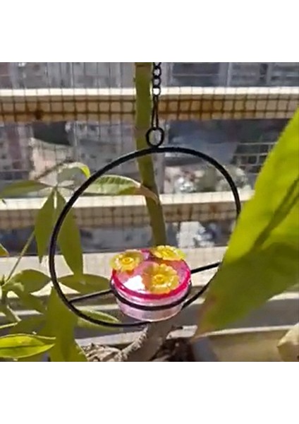 3 Adet Hakkalaşım Besleyici, Istiflenebilir Asma Humming Kuş Besleyici Metal Çerçeve ve Kırmızı Plastik Kase Dairesel (Yurt Dışından) fiyatları