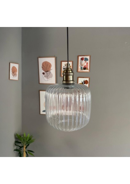 Mopa Cam Şeffaf Tekli Avize Lale Başlık Retro Sarkıt Lamba Restoran Salon Aydınlatma modelleri