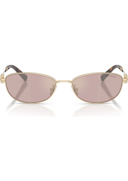 Tıffany 3115 6189VS 56-17 Güneş Gözlüğü modelleri