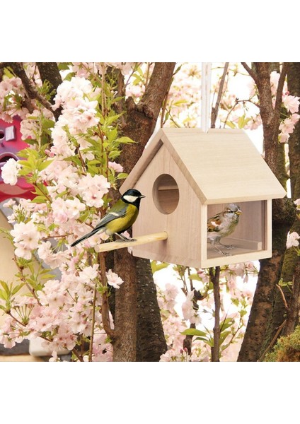 Açık Kuş Evleri Şeffaf Ahşap Kuş Ev Dışarısı, Asılı Kuş Evi (Yurt Dışından) fiyatları