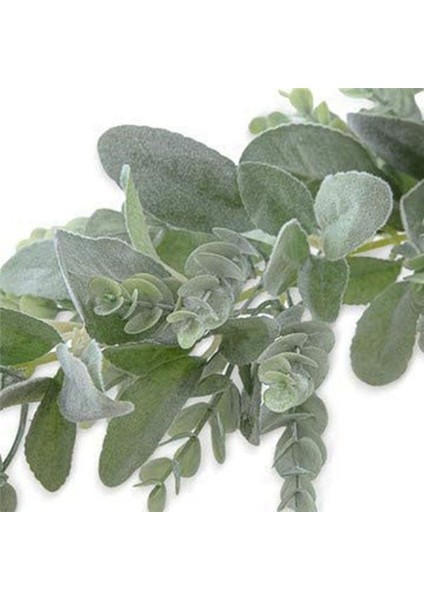 2pc Kuzular Kulak Çelenk Yeşillik ve Okaliptüs Asma/38 Inç Uzunluğunda/açık Renkli Akınlı Yapraklar/yumuşak ve Drapey Düğün (Yurt Dışından) modelleri