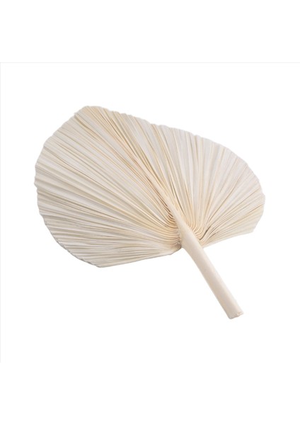 Büyük Beyaz Kurutulmuş Palmiye Yaprakları - Premium Kalite - 3 Pc Zarif Modern Boho Ev ve Düğün Dekoru - Duvar Sanatı (Yurt Dışından) fiyatları