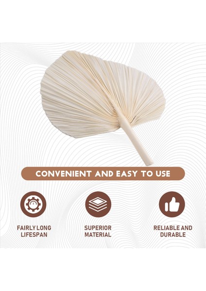 Büyük Beyaz Kurutulmuş Palmiye Yaprakları - Premium Kalite - 3 Pc Zarif Modern Boho Ev ve Düğün Dekoru - Duvar Sanatı (Yurt Dışından) fırsatları