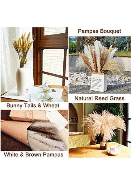 Pampas Çim Kurutulmuş Pampas Sazlıkları Doğal Kahverengi ve Beyaz Tavşan Sazlıkları Bohem Ev Dekor (Yurt Dışından) modelleri