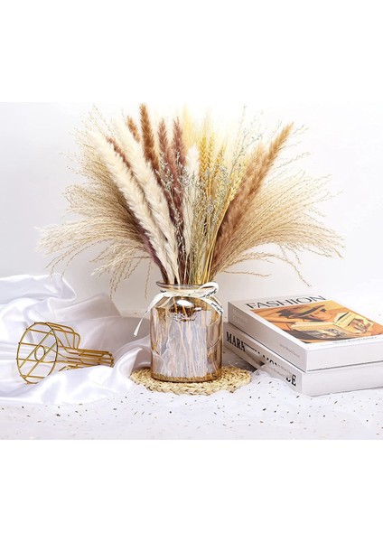 70 Pcs Doğal Pampas Çim Dekor, 17 Inç Kurutulmuş Pampas Çim Dekor- 5 Renkli Pampus Çim Bitkileri Çiçek Için (Yurt Dışından) indirimleri