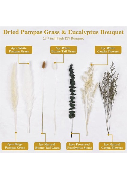 25PCS Kurutulmuş Çiçekler Pampas Çim Buket Caspia Çiçekleri Karışımı Buket, Boho Oda Için Düzenlemeler Ev Düğün Odası (Yurt Dışından) fiyatları
