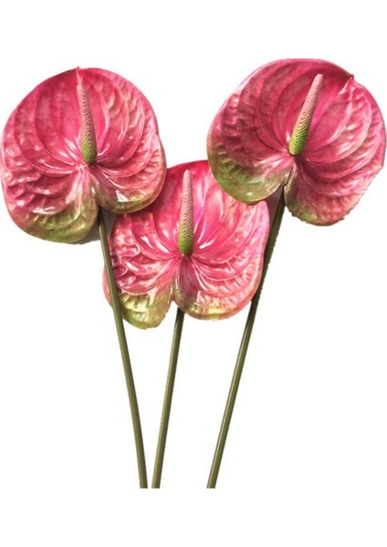 3 Pcs 22.8inch Yapay Anthuryum Çiçekler Ev Dekoru Buket ve Yeşil Yaprak ve Gelin Düğün Dekorasyonu (Pembe) (Yurt Dışından)