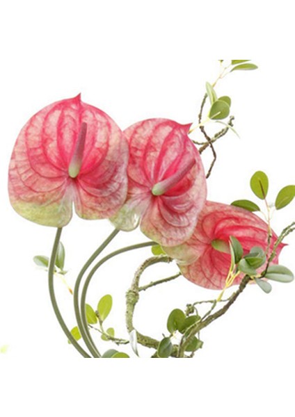 3 Pcs 22.8inch Yapay Anthuryum Çiçekler Ev Dekoru Buket ve Yeşil Yaprak ve Gelin Düğün Dekorasyonu (Pembe) (Yurt Dışından) fiyatları