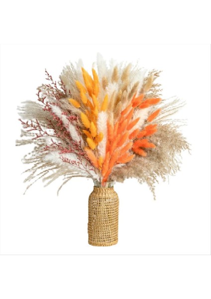 Sonbahar Dekor Pampas Çim 100PCS Buket Ev Dekoru Uzun Ömürlü Kuru Çiçekler Buket Kamış Tavşan Kuyruk Buket Dekorasyon (Yurt Dışından)