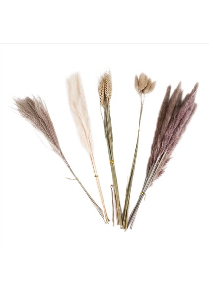 Doğal Pampas Çim Dekor 40 Parça, 45CM Doğal Kuru Beyaz Tavşan Kuyruk Buğday Tozu Pampas Çim Bitki Boho Dekor (Yurt Dışından)