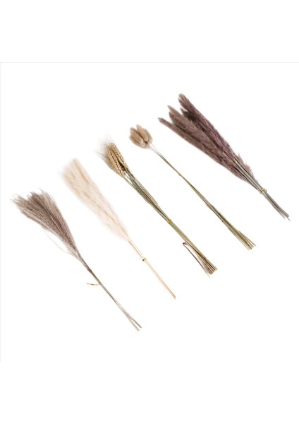 Doğal Pampas Çim Dekor 40 Parça, 45CM Doğal Kuru Beyaz Tavşan Kuyruk Buğday Tozu Pampas Çim Bitki Boho Dekor (Yurt Dışından) modelleri