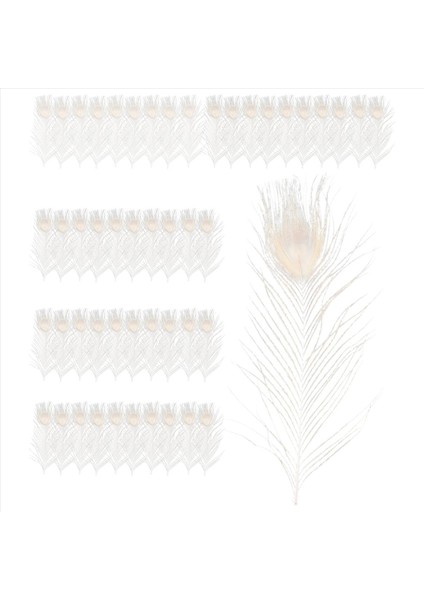50 Adet/doğal Beyaz Tavus Kuşu Tüyleri, Tavus Kuşu Tüyü Düğün Dekorasyonunun 10 Ila 12 Inç (Yurt Dışından) modelleri