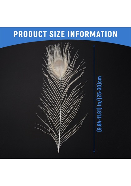 50 Adet/doğal Beyaz Tavus Kuşu Tüyleri, Tavus Kuşu Tüyü Düğün Dekorasyonunun 10 Ila 12 Inç (Yurt Dışından) fırsatları