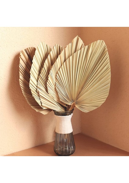 5pcs 18 Inç Doğal Kesilmiş Palmiye Mızrak Tropikal Palmiye Yaprakları Hayranları Boho Düğün Dekor Hawaiian Dekorasyon (Yurt Dışından) modelleri