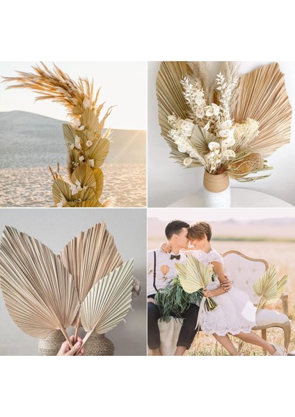 5pcs 18 Inç Doğal Kesilmiş Palmiye Mızrak Tropikal Palmiye Yaprakları Hayranları Boho Düğün Dekor Hawaiian Dekorasyon (Yurt Dışından) fırsatları