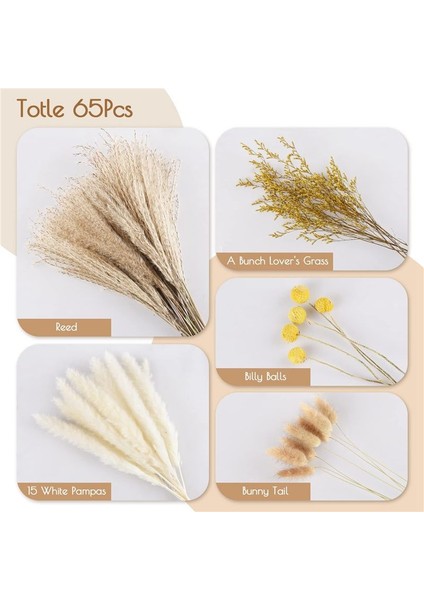 Pampas Çim Dekor 65PCS 17.5 Inç Doğal Kurutulmuş Pampas Bitkileri -Kuffy Kurutulmuş Çiçekler ve Beyaz Pampas ve Doğal Reed Çim (Yurt Dışından) fırsatları