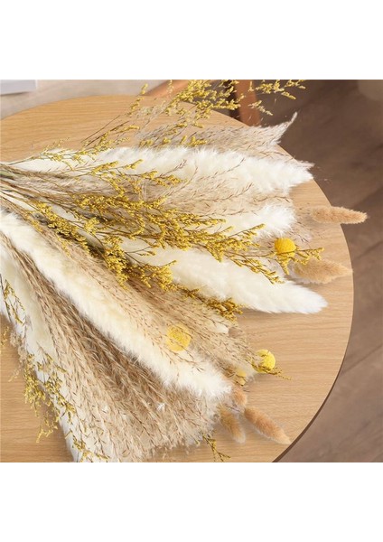 Pampas Çim Dekor 65PCS 17.5 Inç Doğal Kurutulmuş Pampas Bitkileri -Kuffy Kurutulmuş Çiçekler ve Beyaz Pampas ve Doğal Reed Çim (Yurt Dışından) indirimleri