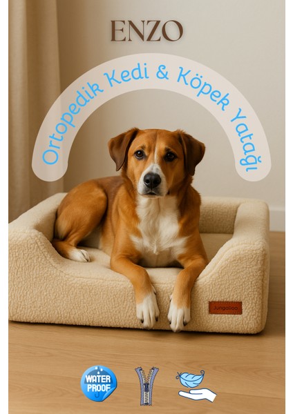 Enzo, Ortopedik Süngerli, Çıkarılabilir Kılıflı, Su Geçirmez Alezli, Tasarım Kedi ve Köpek Yatağı fiyatları