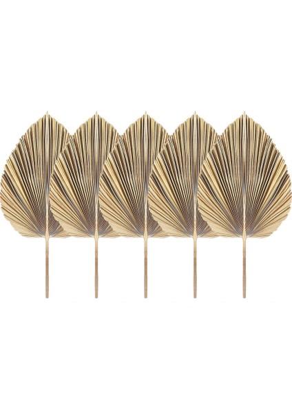 5pcs Doğal Kurutulmuş Palmiye Yaprakları Tropikal Kurutulmuş Palmiye Fanları Boho Kuru Yapraklar Dekor Ev Mutfak Düğün (Yurt Dışından)