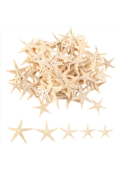 Küçük Denizyıldızı Yıldız Deniz Kabuğu Plaj Zanaat 0.4 Inç-1.2 Inç 90 Adet (Yurt Dışından) fiyatları