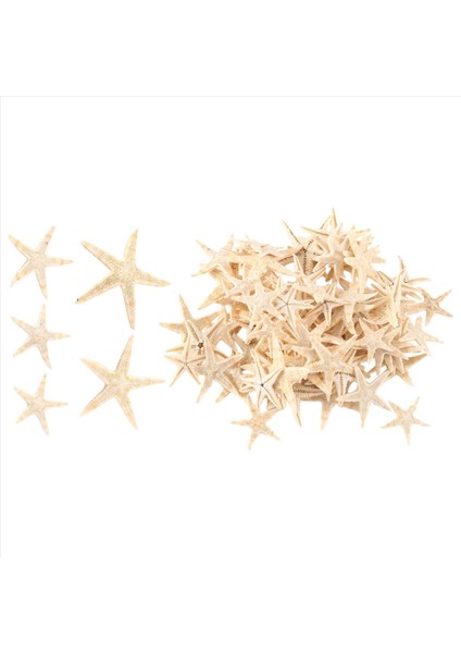 Küçük Denizyıldızı Yıldız Deniz Kabuğu Plaj Zanaat 0.4 Inç-1.2 Inç 90 Adet (Yurt Dışından) modelleri