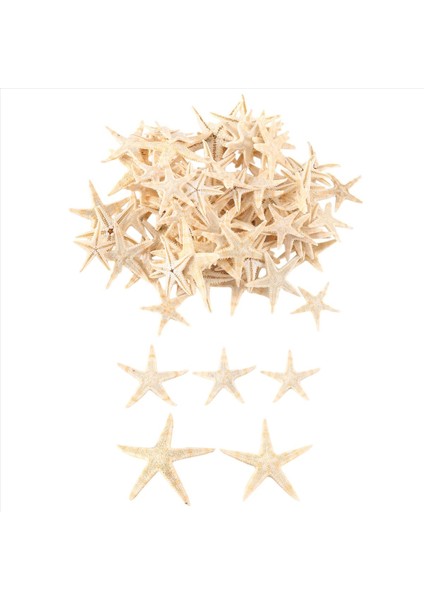 Küçük Denizyıldızı Yıldız Deniz Kabuğu Plaj Zanaat 0.4 Inç-1.2 Inç 90 Adet (Yurt Dışından) fırsatları