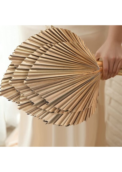 5pcs Doğal Kurutulmuş Palmiye Yaprakları Tropikal Kurutulmuş Palmiye Fanları Boho Kuru Yapraklar Dekor Ev Mutfak Düğün (Yurt Dışından) indirimleri