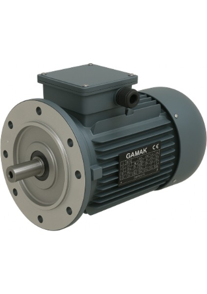 2,2 Kw / 3 Hp 1500 Devir Trifaze Elektrik Motoru - AGM3EL 100 L 4A, B5 Büyük Flanşlı, Alüminyum Gövde, Mil Çapı 28, Ie3
