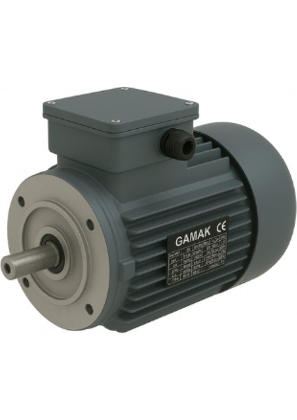 3 Kw / 4 Hp 1000 Devir Trifaze Elektrik Motoru - AGM3EL 132 S 6A, B14 Küçük Flanşlı, Alüminyum Gövde, Mil Çapı 38, Ie3
