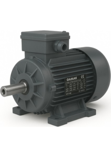 7,5 Kw / 10 Hp 1000 Devir Trifaze Elektrik Motoru - GM2E 160 M 6A, B3 Ayaklı, Pik Gövde, Mil Çapı 42, Ie2