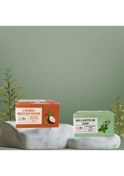 Çare Burada At Kestanesi&hindistan Cevizi ve Nane Okaliptüs Yağı Balsamı
