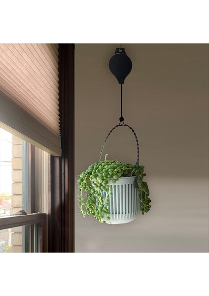 4pcs Bitki Kasnakları Bitki Kanca Kasnağı 4 Pcs Tavan Kancaları Asılı Bitkiler Için Geri Çekilebilir Bitki Askıları Açık (Yurt Dışından) indirimleri