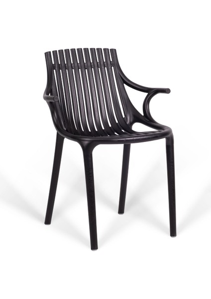 Monaco Lüks Cafe ve Balkon Sandalyesi 2'li fırsatları