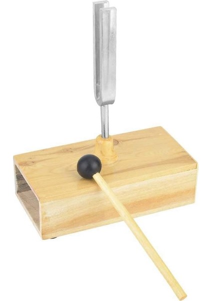 2 Adet Ahşap Rezonatör Kutusu ile Çatal Ayarlama Kutusu, 440Hz Virbration 1 Adet ile Deneysel Alet 1 Adet Ayar Çatal Nakliye (Yurt Dışından) modelleri