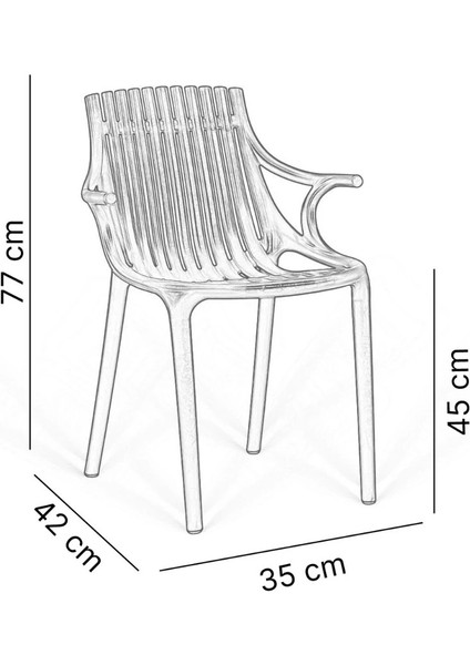 Monaco Lüks Cafe ve Balkon Sandalyesi 2'li modelleri