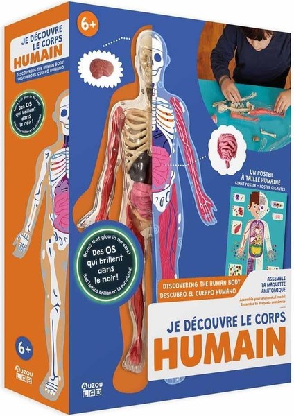 Insan Vücudunu Keşfediyorum Poster -Model ve Kitap fiyatları