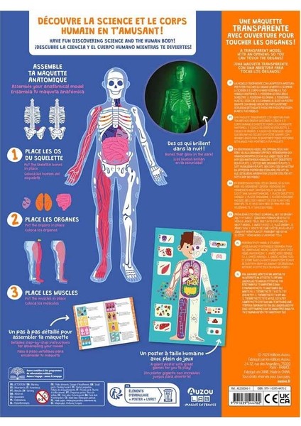 Insan Vücudunu Keşfediyorum Poster -Model ve Kitap indirimleri