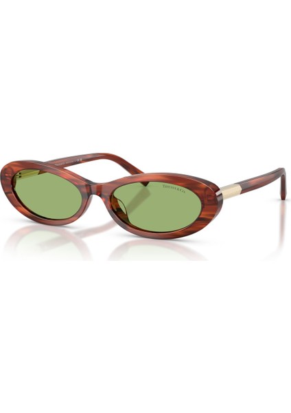 Tıffany 4250 8440/2 56-17 Güneş Gözlüğü