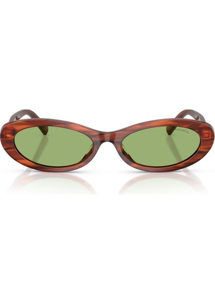 Tıffany 4250 8440/2 56-17 Güneş Gözlüğü modelleri