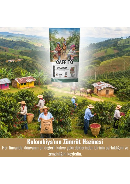 Caffito Kolombiya Supremo - Yöresel Çekirdek Kahve 250 G modelleri