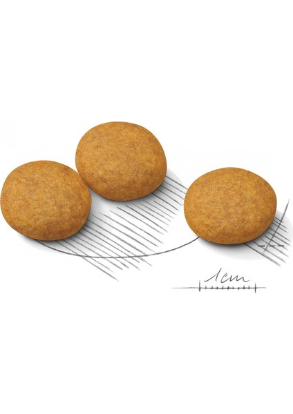 Maxi Dermacomfort Kuru Köpek Maması 12kg