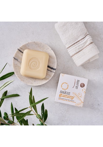 Zeytinyağlı Sakızlı Katı Şampuan modelleri