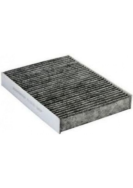 Mtxdpn Polen Filtresi (Nissan X-Trail - Nissan Maxima) 01--