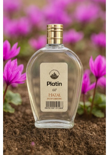 60° Hazal Elit Serisi Kolonyası