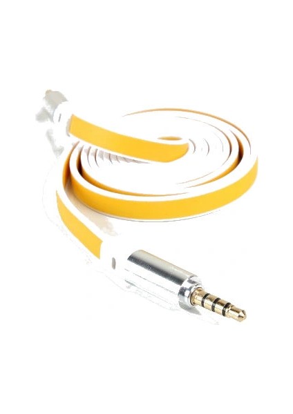 Aux Kablosu 100 cm fırsatları