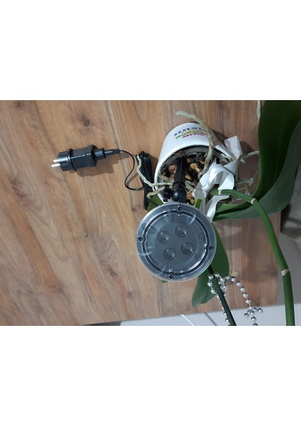 Peri LED Işık 5 Metre Beyaz Dekor Lambası 50 Ledli indirimleri