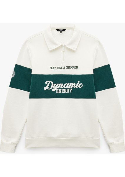 Regular Fit Renk Bloklu Baskılı Yarım Fermuarlı Polo Yaka Sweatshirt