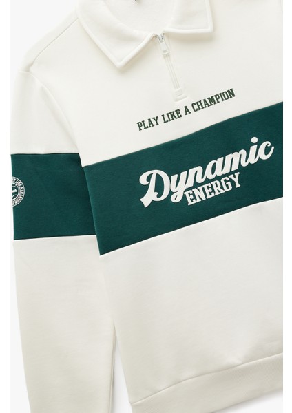 Regular Fit Renk Bloklu Baskılı Yarım Fermuarlı Polo Yaka Sweatshirt modelleri